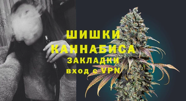 ГАЛЛЮЦИНОГЕННЫЕ ГРИБЫ Нязепетровск