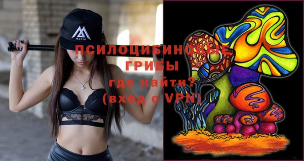 ГАЛЛЮЦИНОГЕННЫЕ ГРИБЫ Нязепетровск