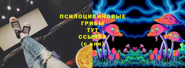 спайс Нягань