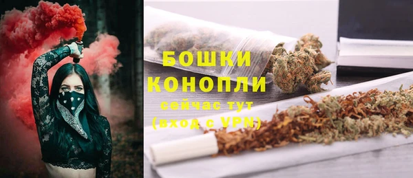 спайс Нягань